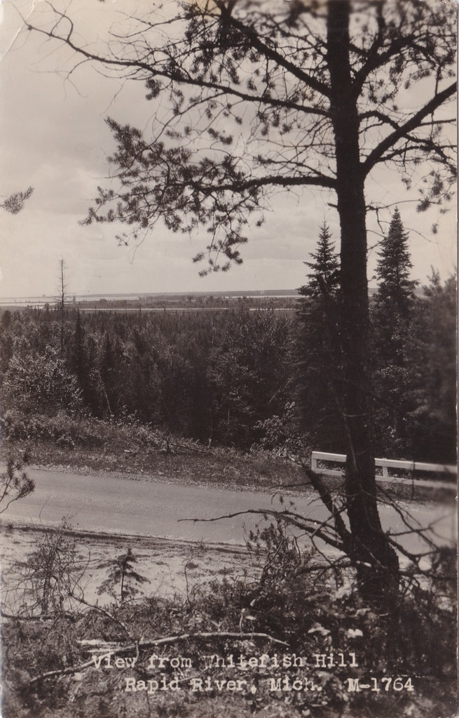 UP Rapid River Delta County MI RPPC c.1908 LOOKING TO LITTLE BAY De NOC Great View from Whitefish Hill, near RAPID RIVER, Michigan Real Photo Postcard Michigan Photographer UNK