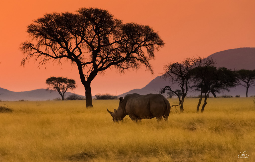 Namibia-sunset I