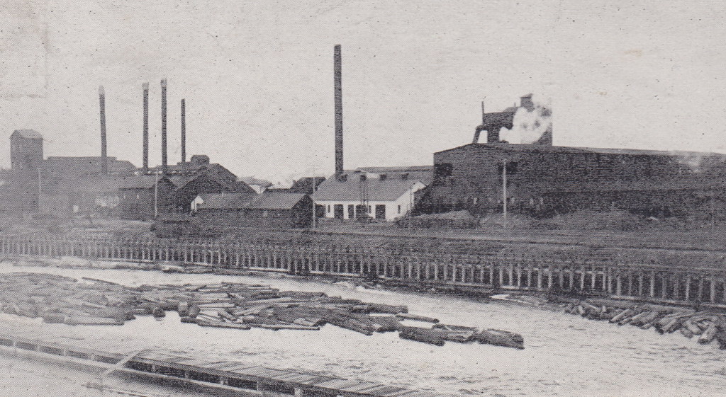 UP Manistique MI c.1910 THE CHEMICAL PLANT LOGGING c.1908 Chemical Plant Buildings & Powerhouse Men would make Turpentine from bark & roots of trees that were harvested for thes lumber mills2