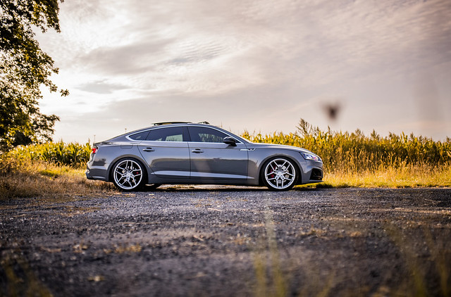 Audi S5 | Concaver Wheels CVR5 Brushed Titanium