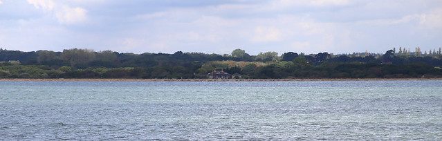The New Forest coast