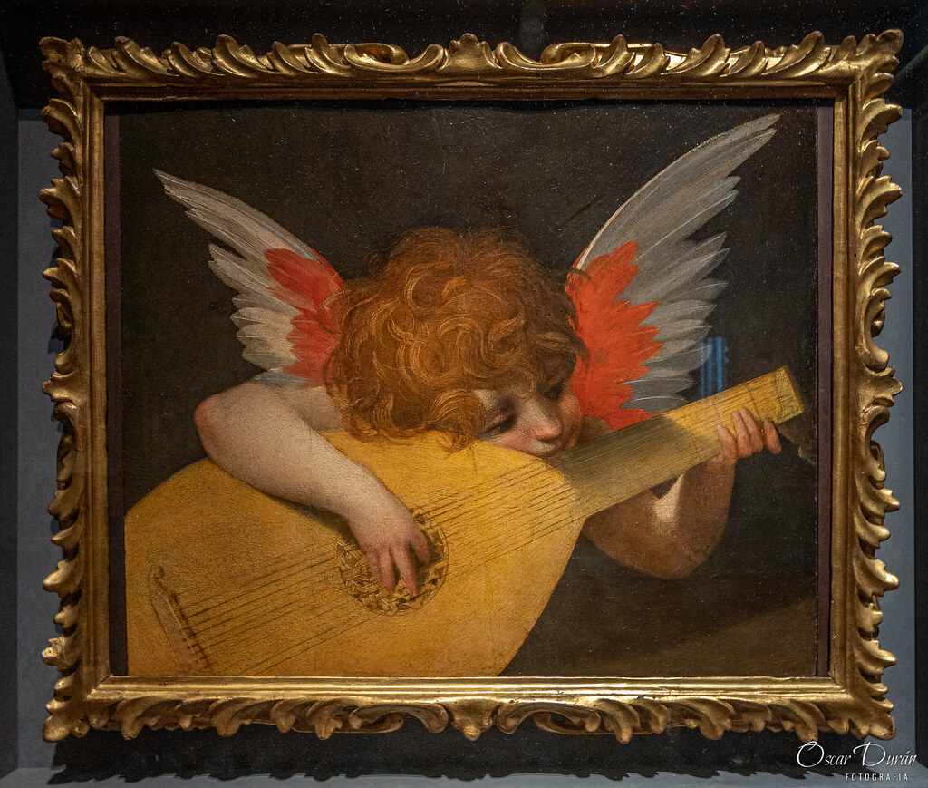 Ángelo Musico de Rosso Fiorentino | Oscar Duran | Flickr