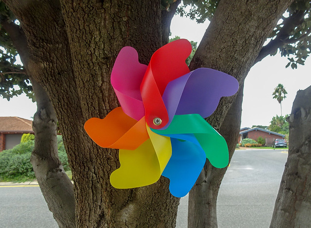 Coloured Pinwheel