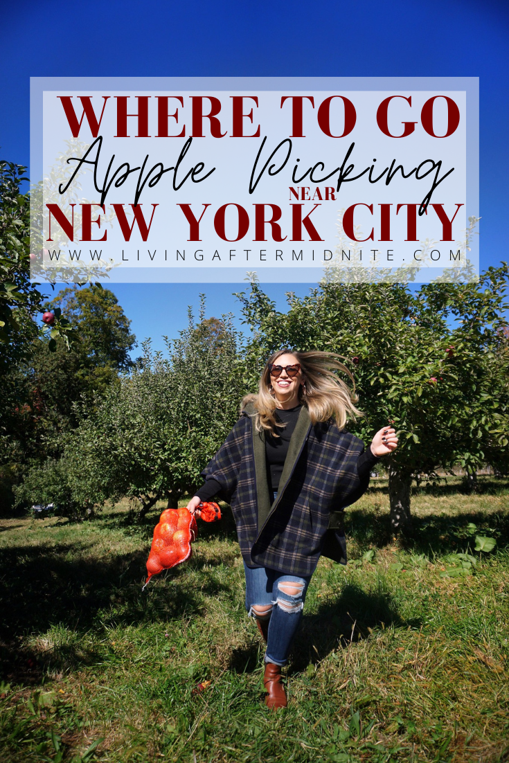 The Best Apple Orchards Close to New York City | Best Places to Apple Pick Near NYC | Where to go Apple Picking near NYC | New York Hudson Valley Westchester County Apple Picking Guide