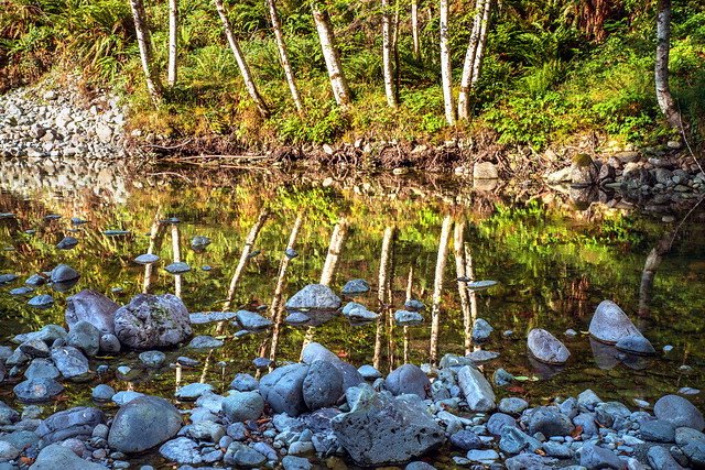 shaw creek reflections-1057_2