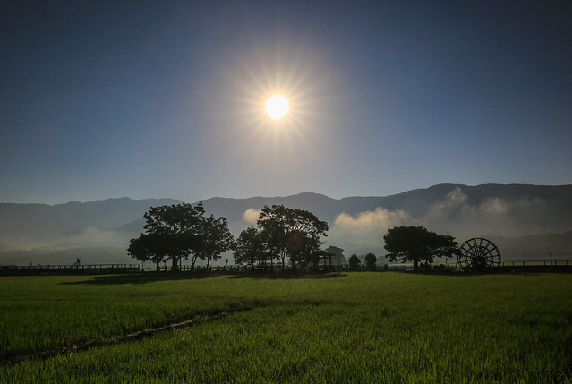 池上印象，日出稻田(Sunrise @ Chishang township paddy field)。