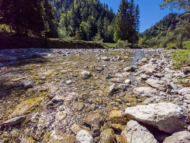 Mountain Creek Gill Brook Upper Bavaria Germany © Bach Bergbach Gebirgsbach Bayern Oberbayern ©
