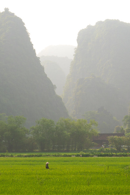 Foraging - The Valleys of Ninh Bihn