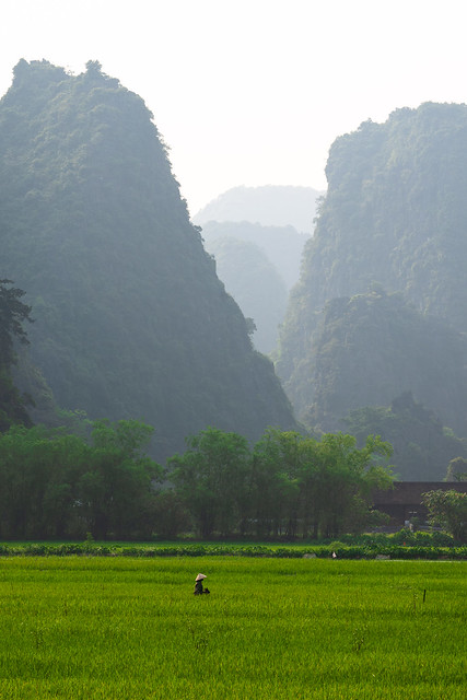 Foraging - The Valleys of Ninh Bihn