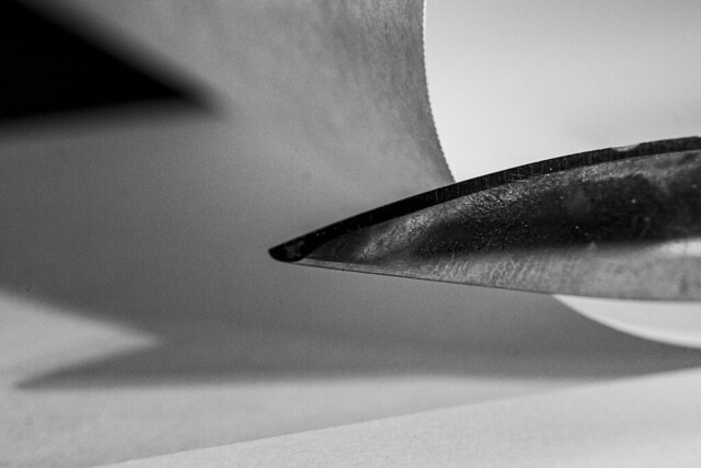 Paper Cut in Black & White