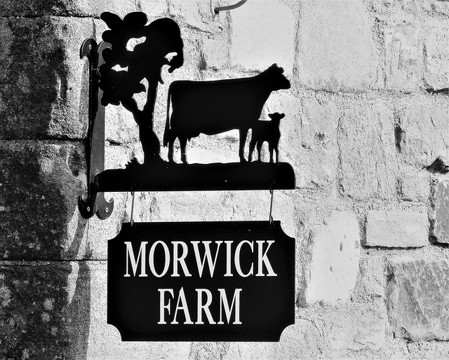 Morwick Farm - Ice-Cream Outlet