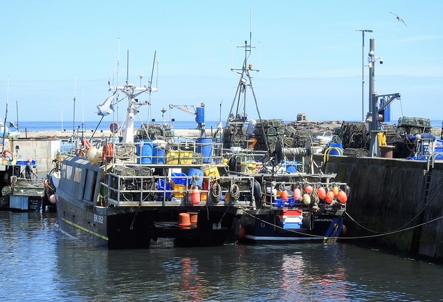 Seahouses Harbour - Fishing Boats