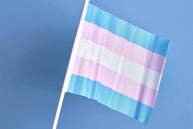 Transgender Flag 3