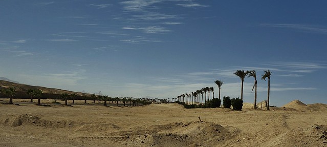 ÄGYPTEN,  Abschied  von der Makadi Beach bei Hurghada  , 80088/21088
