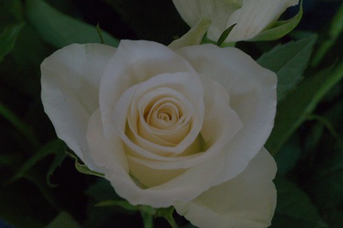 assignment 1 | by saunderstina1973