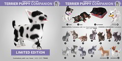 SEmotion Libellune Terrier Puppy Companion