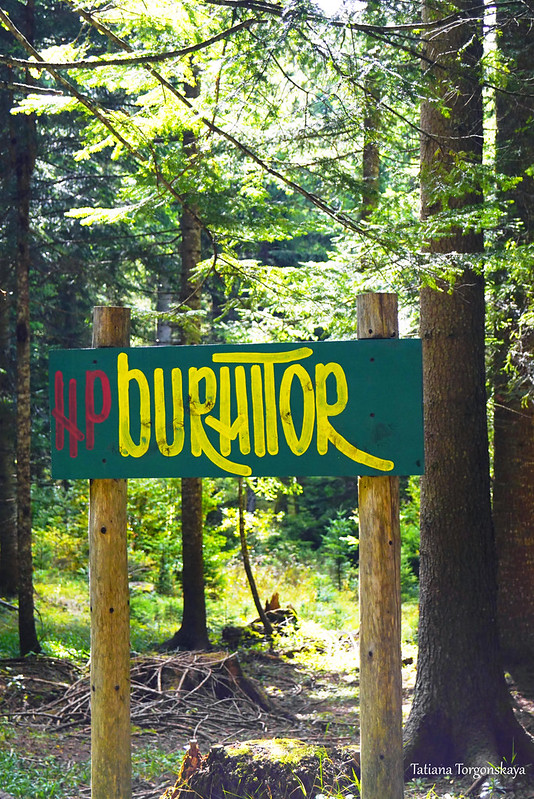 В лесу национального парка Дурмитор