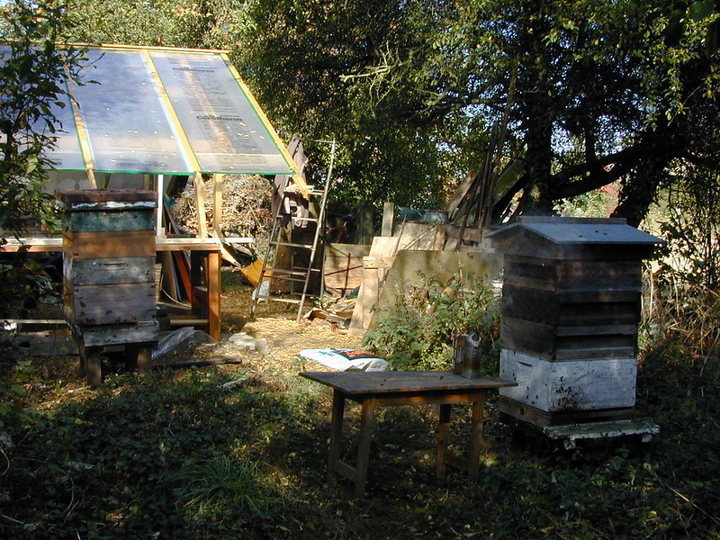 dscn7479-both-hives-after