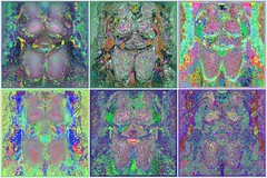 Hommage für die Venus von Willendorf als Bildschichten-Variationen