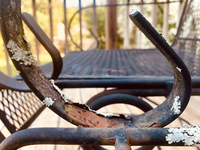 Made of Metal, Rust and Lichen