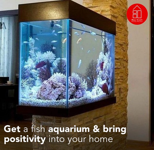 Interior Design aquarium in livingroom