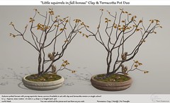 .:Tm:.Creation "Little squirrels in fall bonsai" Clay & Terracotta Pot D20