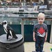 Meeting a WEM Penguin