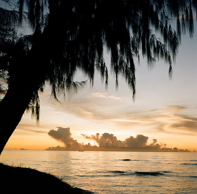 Micro Beach Sunset with Gagu Tree