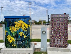 Flower Utility Boxes