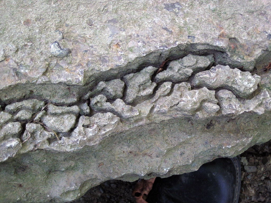 Anastomosing Rocks Anastomoses in limestone (Waynesville Formation, Upper Ord… | Flickr