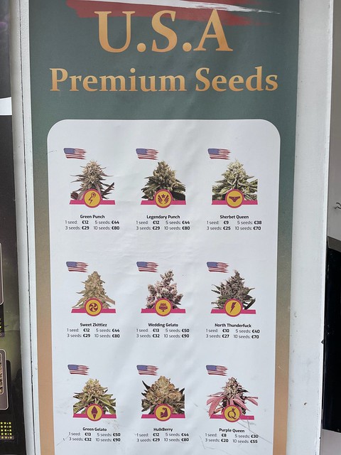 USA premium seeds