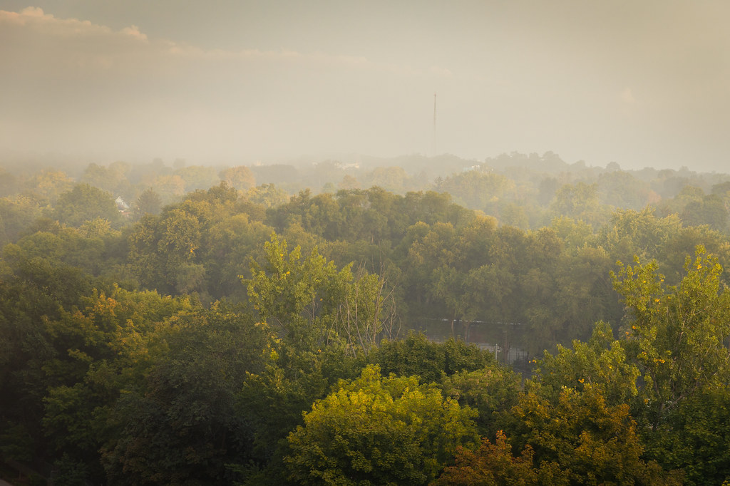 A Foggy Start to the Last Day of Summer | A Great Capture | Flickr