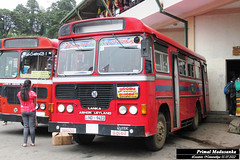 ND-9423 Kothmale Depot Ashok Leyland - Lynx 4200 C type bus at Nuwaraeliya in 05.07.2022