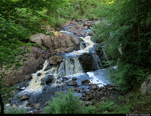 20210608_23 Danska Fall (''Danish Falls'') in the idyllic creek Assman (LOLOLOLOLOLOL) | The trail Hallandsleden (section: Mästocka to Assman) | Halland, Sweden