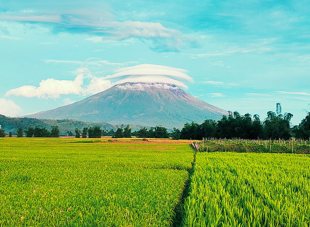 Mt. Mayon crowned with clouds
