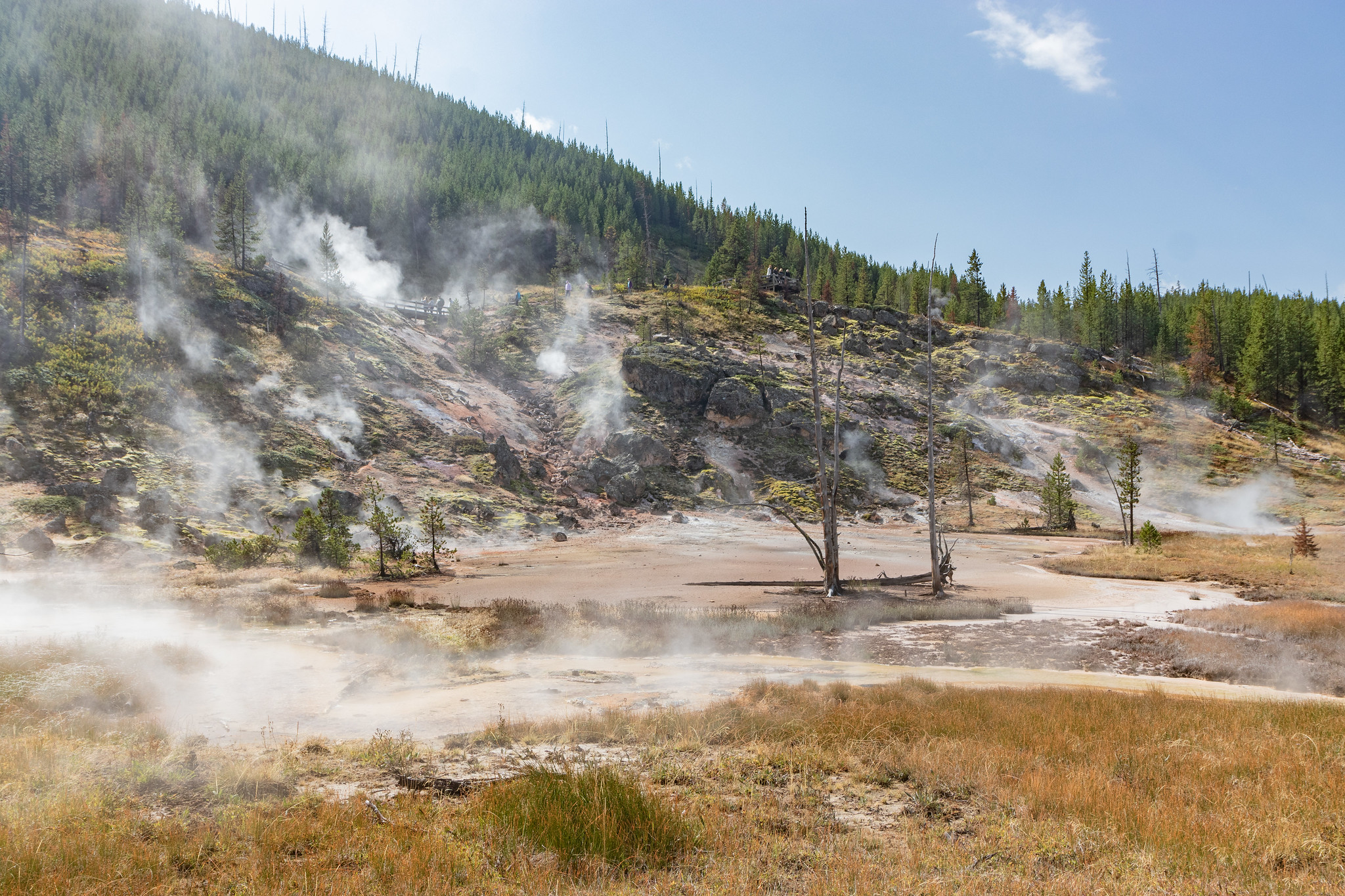 Des fumerolles au parc national de Yellowstone