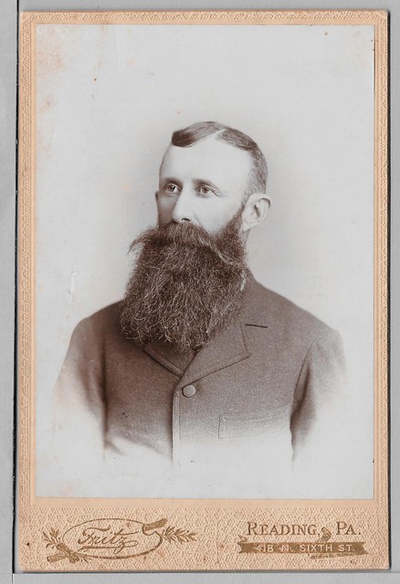 Portrait of Gentleman with a Thick Beard from Reading Pennsylvania, Cabinet Card Image