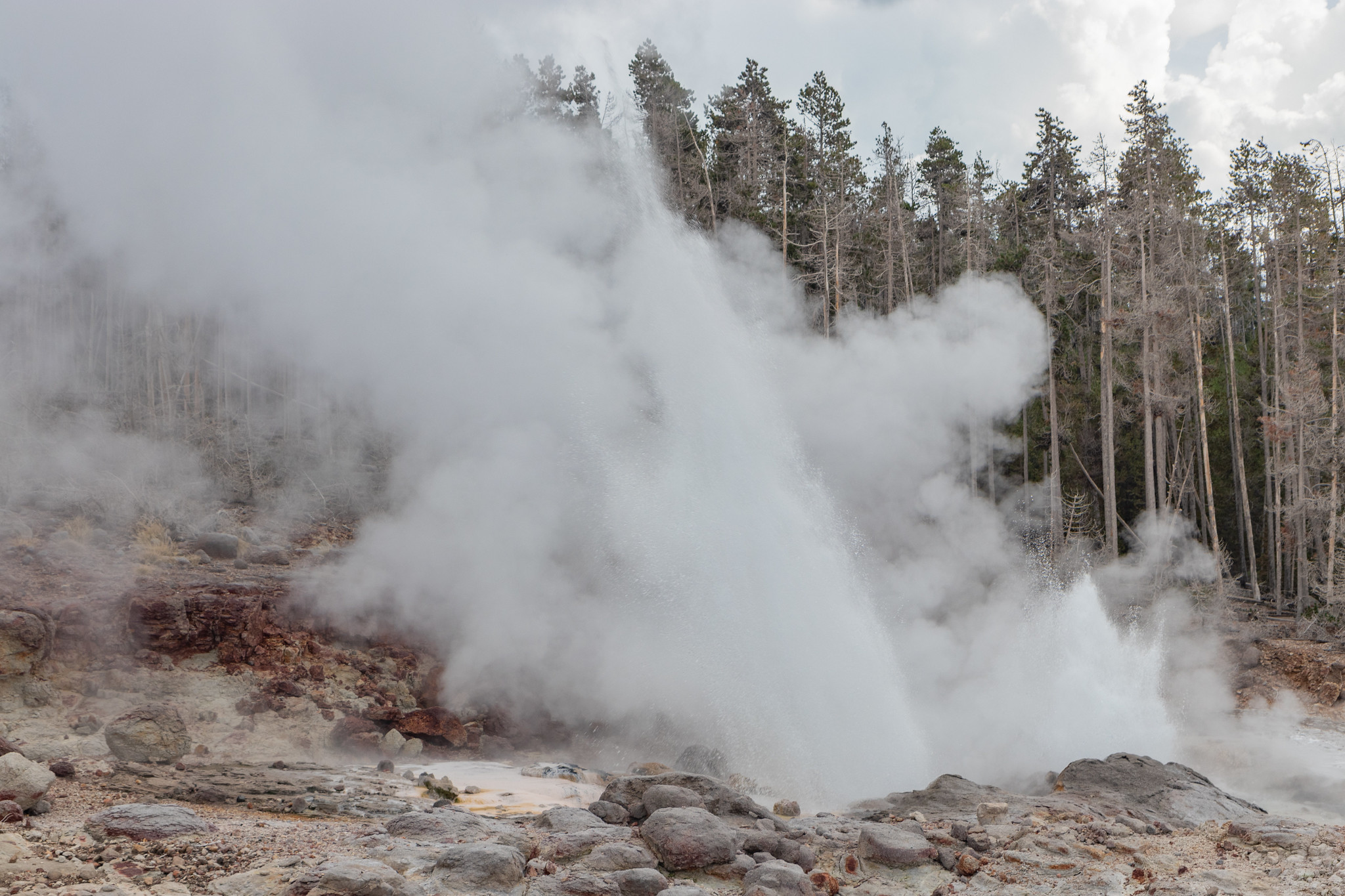Le Steambot Geyser en éruption au parc national de Yellowstone