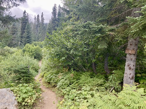 Start of the Mirror Lake Trail