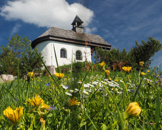 Kapelle Blumenwiese Frühling Bayern Oberbayern © Chapel Flower Meadow Upper Bavaria Germany ©