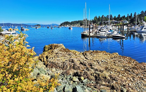 1. Brentwood Bay (1)