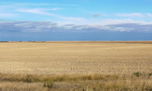 September Wheat Fields SK 20220923_161644 P1020648