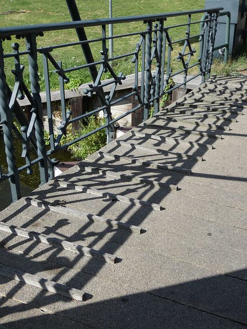 Fence and Shadow