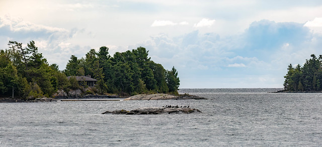 Shoreline of Georgian Bay