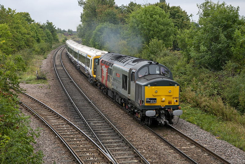 52379367460_9fbc1bbc66_c.jpg