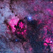 Cygnus Nebulosity