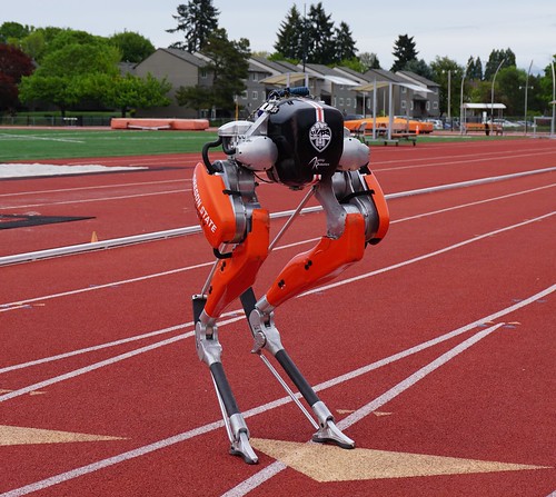 Cassie, the historic research robot developed at Oregon State.