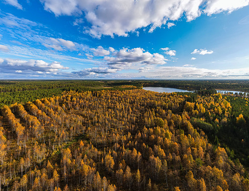 wideangle day aerialview landscape photography drone droneshot nature lake water blue sky clouds cloudscape dji northostrobothnia finland autumn fall fallcolors colorful colors woods forest scenery scenic