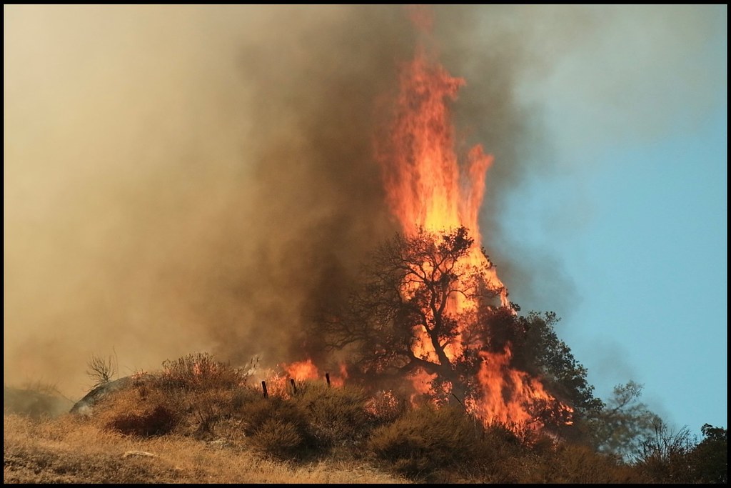 LAFD Joins LACoFD Battle To Help Quickly Contain Calabasas Wildfire