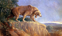 Interesting facts about Smilodon